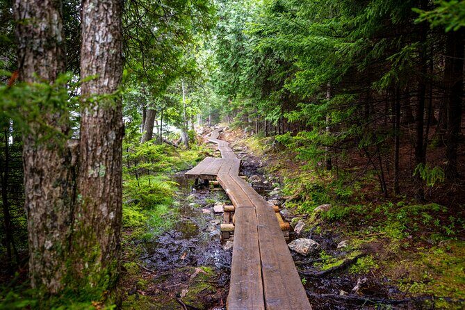Private Acadia & Mount Desert Island Tour (full day, six hours) - The Sum Up