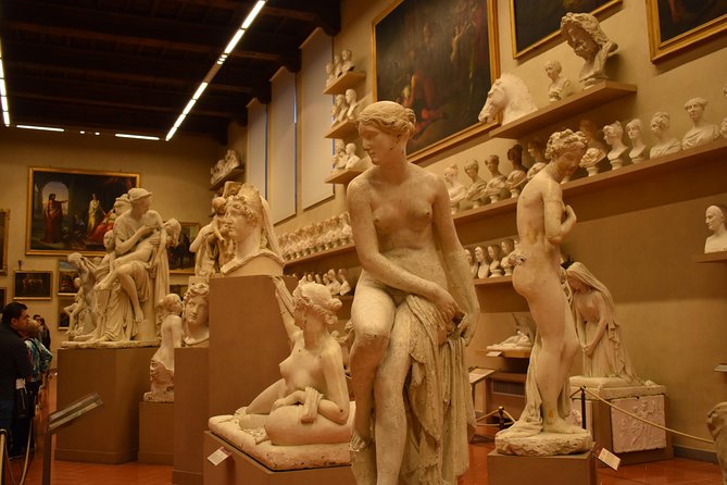 Private Accademia Gallery Guided Visit - Accessibility and Participation