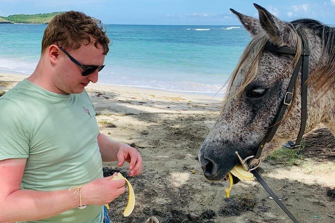 Private Advanced Horseback Beach Ride With Sandy Hoofs St. Lucia - Customer Feedback