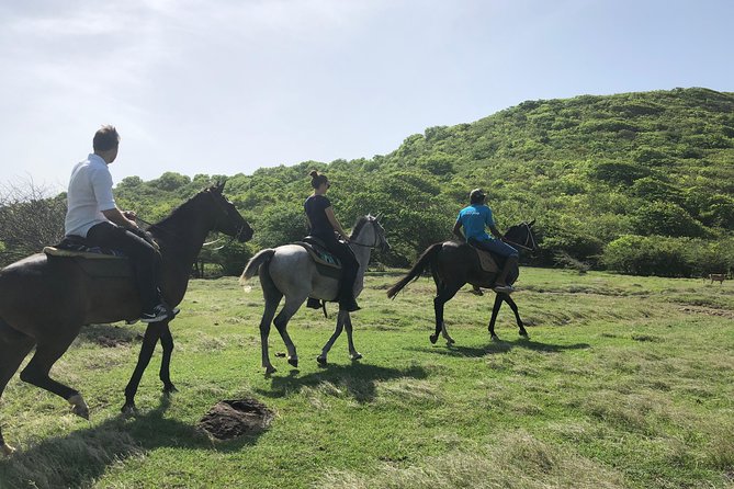 Private Advanced Horseback Beach Ride With Sandy Hoofs St. Lucia - Booking and Cancellation Policy