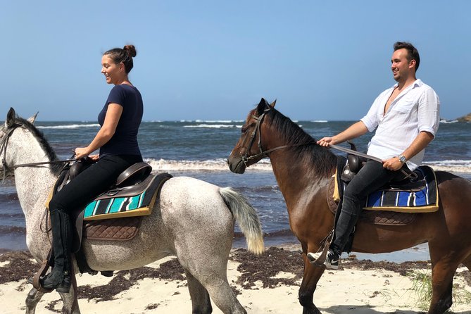 Private Advanced Horseback Beach Ride With Sandy Hoofs St. Lucia - Meeting and End Point