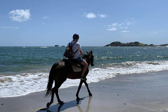 Private Advanced Horseback Beach Ride With Sandy Hoofs St. Lucia - Weather Considerations