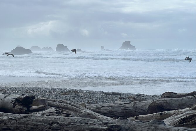 Private Adventure Awaits on the North Coast! (Up to 3 Travelers) - Traveler Reviews