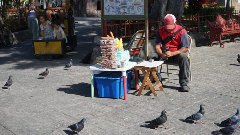 Private Adventure in Mazatlan - Booking Information