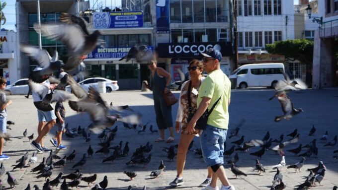 Private Adventure in Mazatlan - Exploring Mazatlans Main Attractions