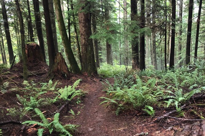 Private Adventure Mountain Biking in Seattles Eastside - Key Points