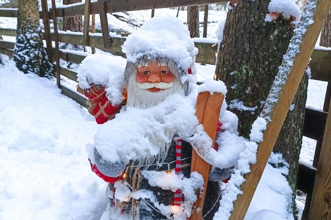 PRIVATE Adventure To The REINDEER Park by VIP Car - Key Points