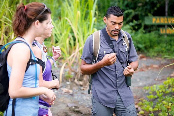 Private Adventure Tour in the Corcovado Natural Park - Key Points