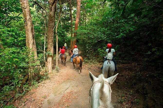 Private Adventure Tour: Zipline, Hot Springs, HorseBack And More - Zipline Adventure
