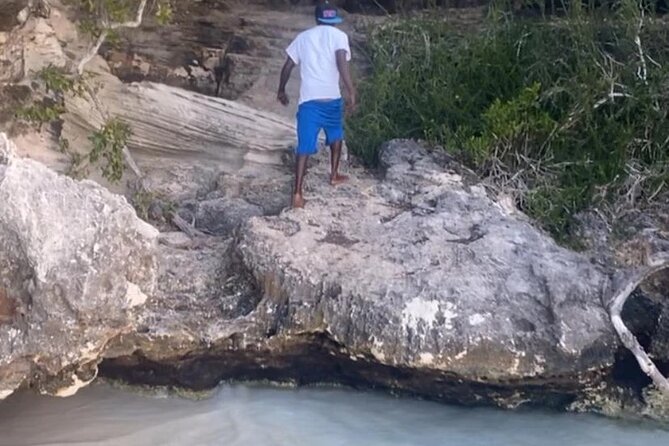 Private Adventurous Half Day Charter - Customer Feedback and Reviews