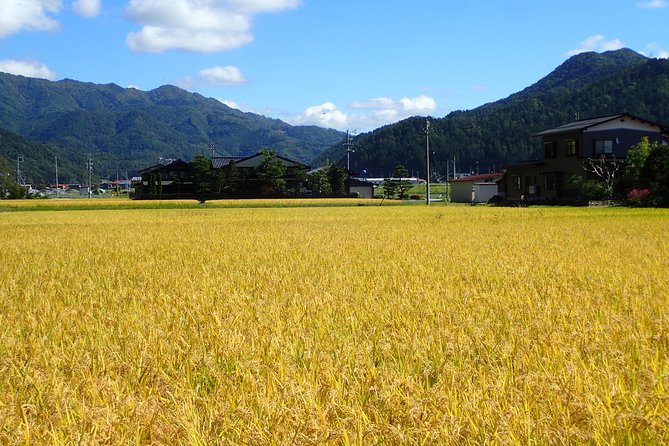 Private Afternoon Cycling Tour in Hida-Furukawa - Cycling Experience