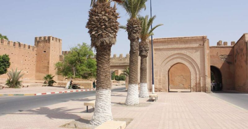 Private: Agadir to Taroudant and Tiout Oasis Trip With Lunch - Souk Market Experience