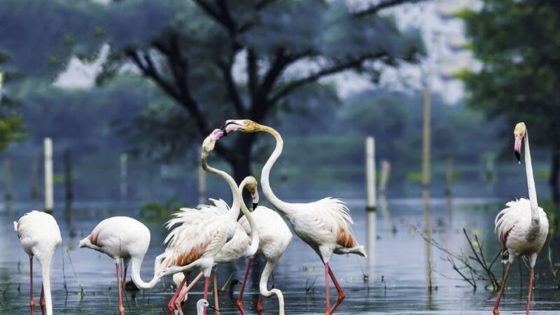 Private Agra Overnight Tour With Bharatpur Bird Sanctuary - Key Points