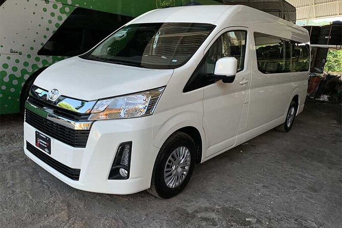 Private Aiport Transfer To Punta Cana Hotels - Accessibility and Participation Details