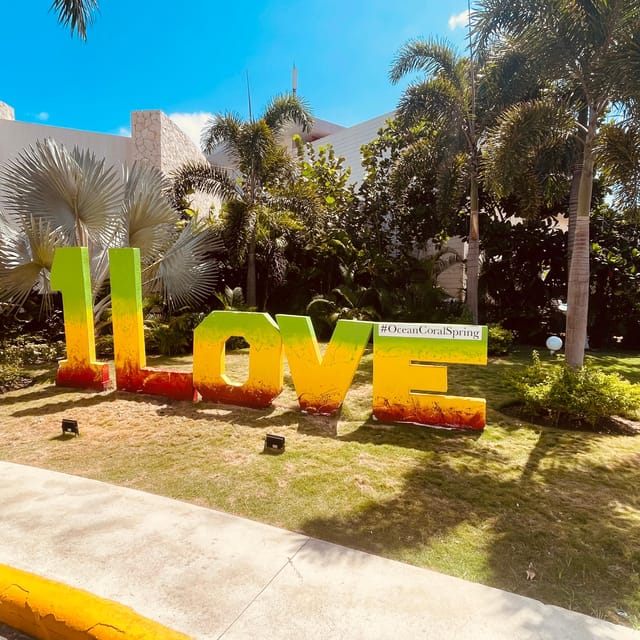 Private Airport Shuttle to Ocean Coral Spring Hotel - Driver Qualifications