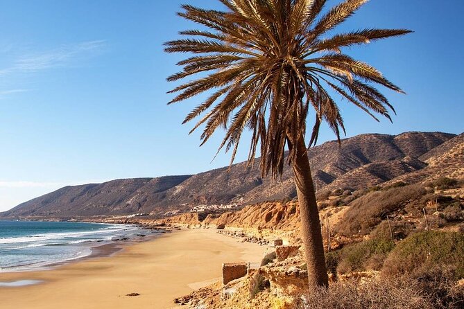 Private Airport Transfer Agadir, Taghazout - Accessibility Features