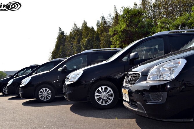 Private Airport Transfer: Cairo Airport Transfer to Anywhere in Cairo - Pickup and Drop-off Locations