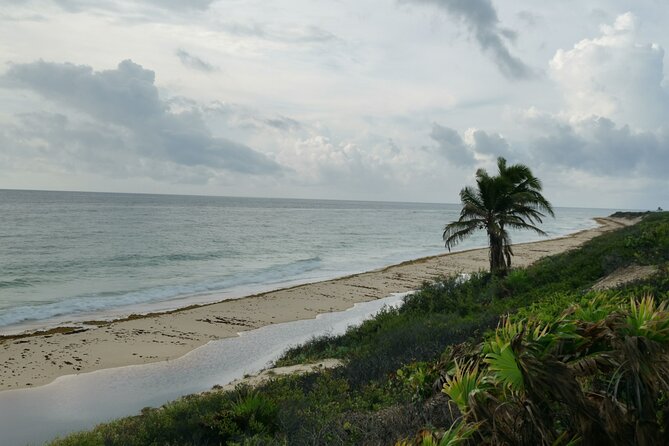 Private Airport Transfer Cancun - Playa Del Carmen up to 9 Pax OW - Accessibility