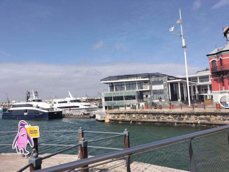 Private Airport Transfer From Cape Town Airport to Hotel - Booking and Payments