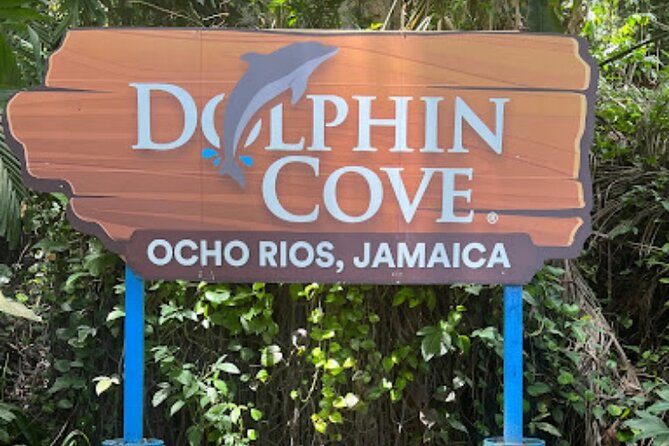 Private Airport Transfer From Montego Bay to Ocho Rios Jamaica - Why Choose This Transfer