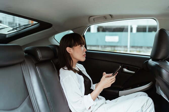 Private Airport Transfer From Narita Airport to Tokyo - Reasons to Book