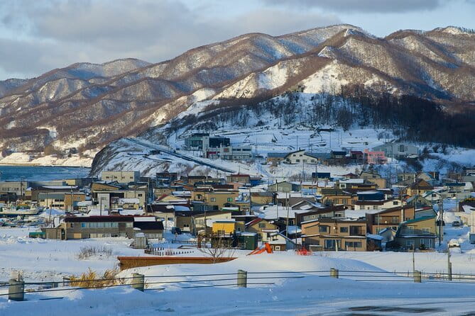 Private Airport Transfer From New Chitose Airport(CTS) - What to Expect on Your Transfer
