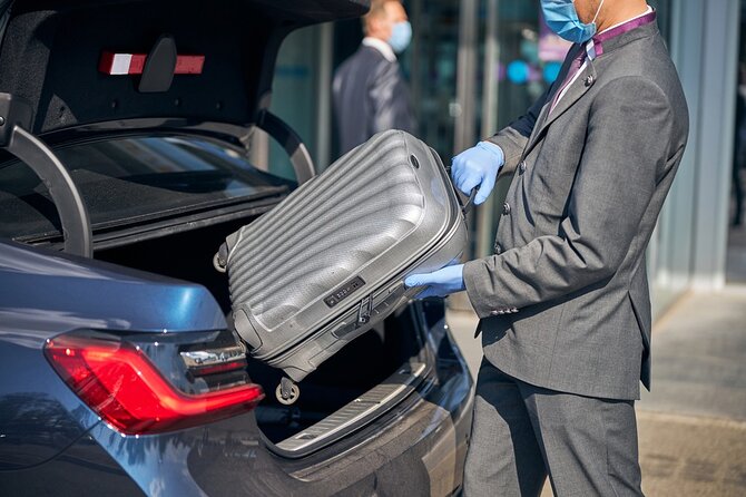 Private Airport Transfer in Cairo - Traveler Suitability