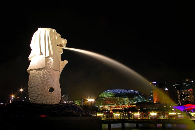 Private Airport Transfer in Singapore - Pickup and Drop-off