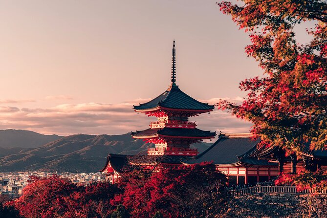 Private Airport Transfer Kansai Intl. Airport(Kix) to OSAKA CITY - Included Services and Fees