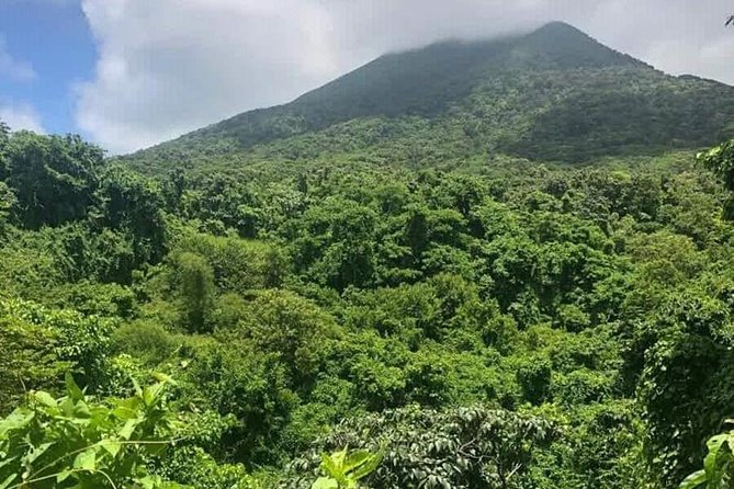 Private Airport Transfer to Belmont Estate Farm, Kititian Hill - Overview of the Service