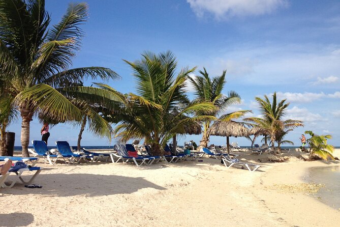 Private Airport Transfer to Catalonia Montego Bay Resort - Pickup Process at MBJ