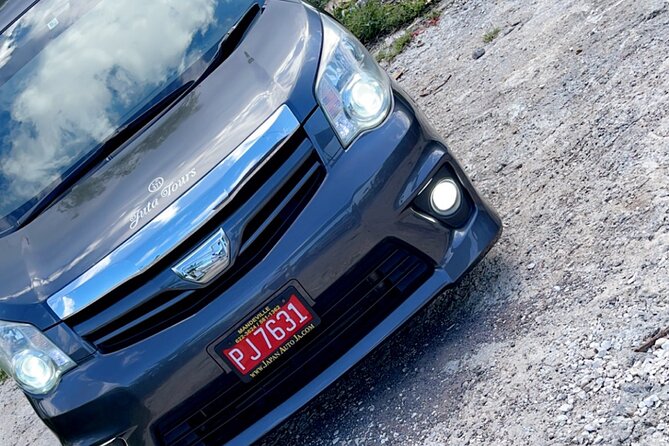 Private Airport Transfer To/From All Hotels in Negril Round Trip - Pickup and Drop-off Locations
