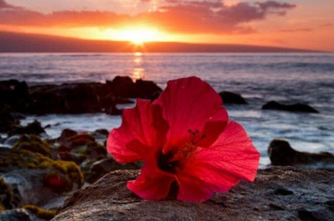Private Airport Transfer to Waikoloa Resorts Private Residence - Why Choose a Private Airport Transfer on the Big Island?