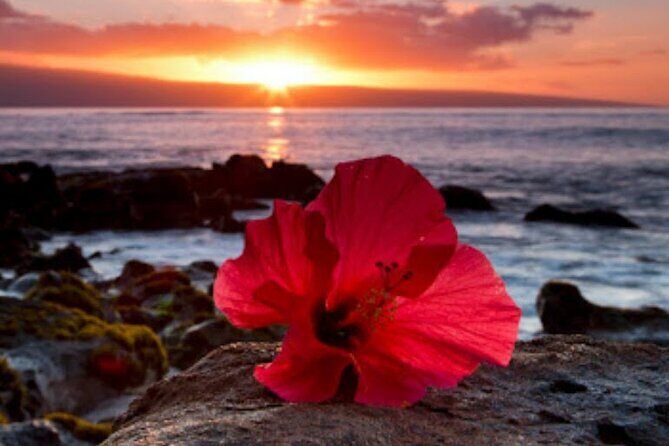 Private Airport Transfer to Waikoloa Resorts Private Residence - The Booking Experience and Cost Analysis