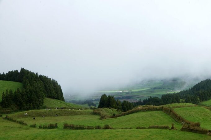 Private Airport Transfer With Sete Cidades Tour Included - Exploring the Island