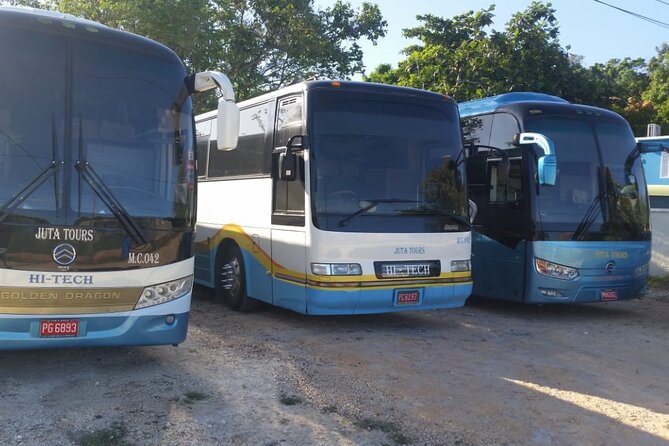 Private Airport Transfers To Negril Hotels and Villas - Pickup and Drop-off