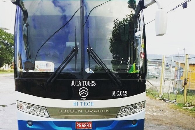 Private Airport Transfers To Negril Hotels and Villas - Booking Considerations