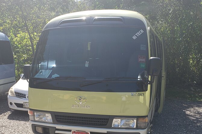 Private Airport Transfers To Negril Hotels and Villas - Customer Feedback and Experiences