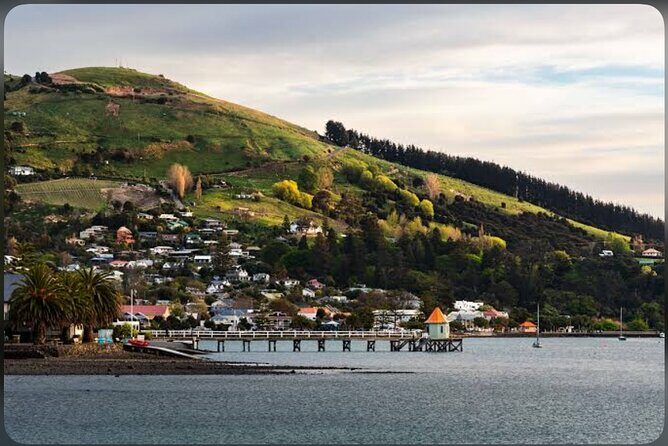 Private Akaroa Day Tour From Christchurch - What’s Included and What to Know