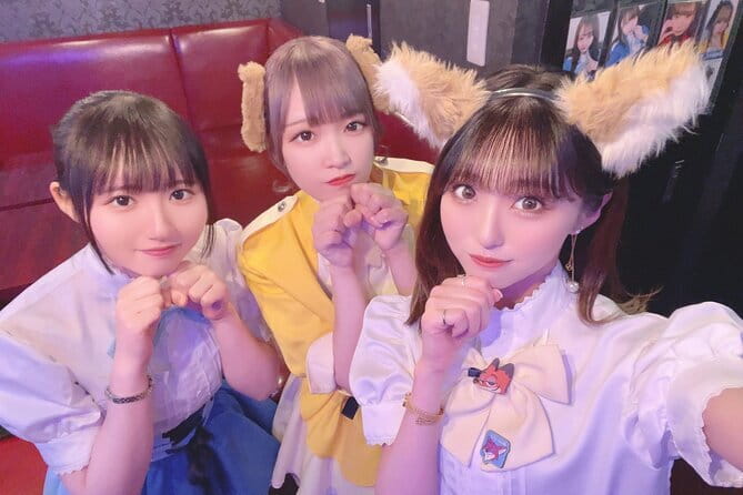 Private Akihabara Retro Tokyo Anime Game Maid Cafe Tour W/ Pickup - Inclusions