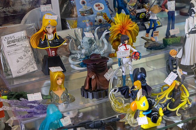 Private Akihabara Walking Tour With Otaku and Photography - Tour Highlights and Activities
