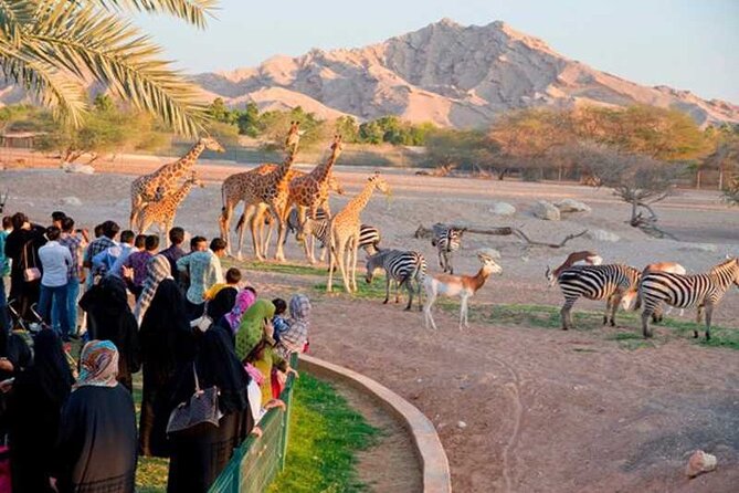 Private Al Ain Tour by 4x4 Vehicle With Zoo Tickets - About Your Stay