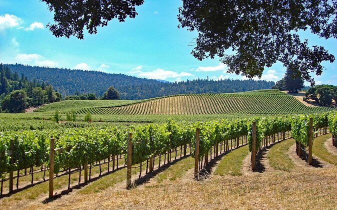 Private Alexander Valley Winery Day Trip From San Francisco - Key Points