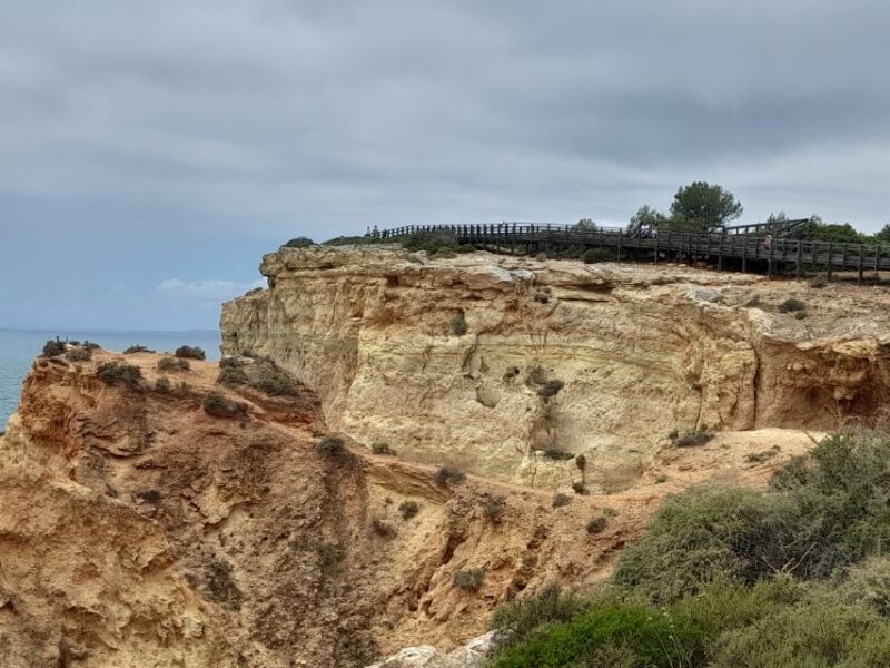 Private Algarve Coast Tour From Lagos By Van - Passenger Safety and Amenities