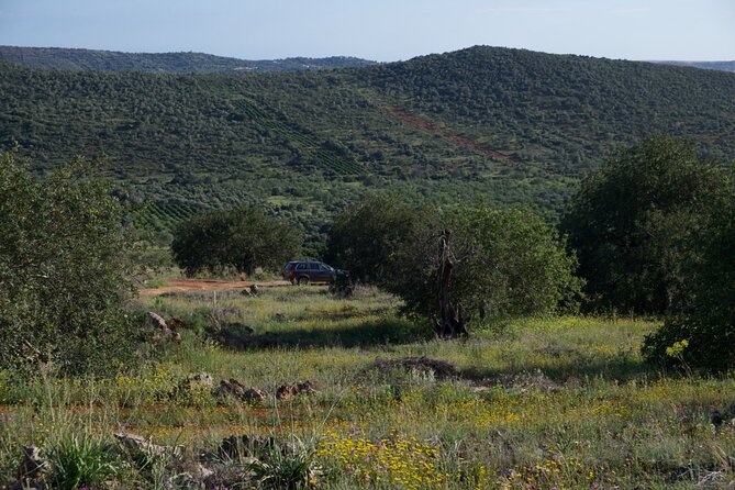 Private Algarve Hinterland Escape in Volvo XC90 SUV - Convenient Meeting and Pickup