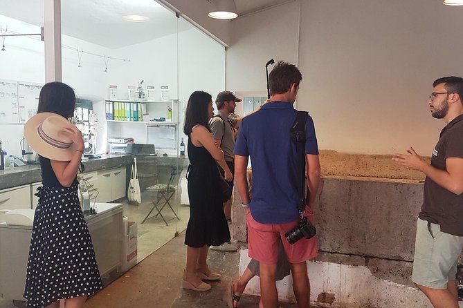 Private Algarve Wines Route - Tour Features and Inclusions