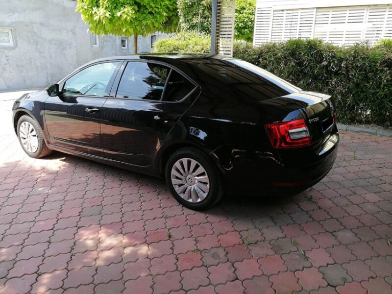 Private Algiers Airport Transfers To/From Bejaia City - Key Points