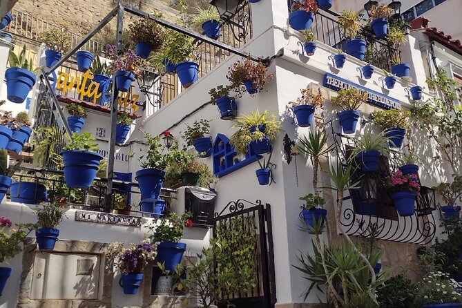 Private Alicante Shore Excursion With Castle Tour - Cancellation Policy