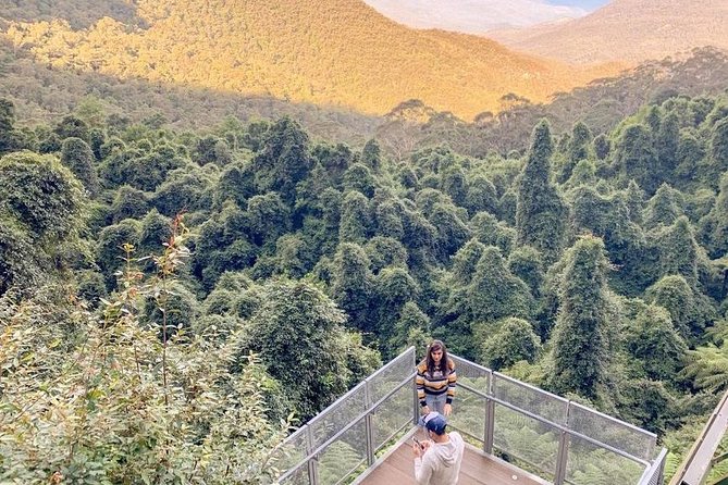 Private All Blue Mountains Day Tour - Operating Hours