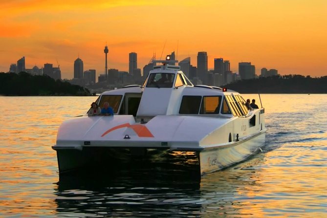 Private All Blue Mountains Day Tour - Reviews